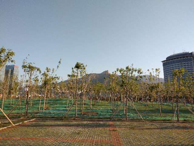 西安科技大学是211吗，西安电子科技大学（陕西西安的科技大学这么多）