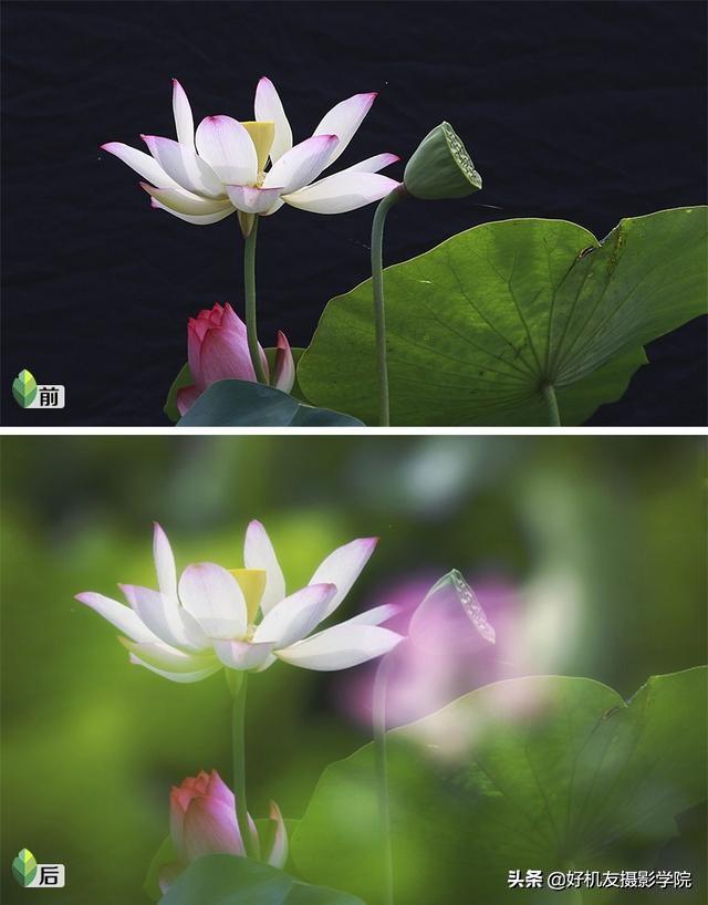 如何将照片制作黑白剪影的效果，照片怎么做成黑白剪影（如何用snapseed将手机照片制作成为图中图的二次曝光剪影效果）