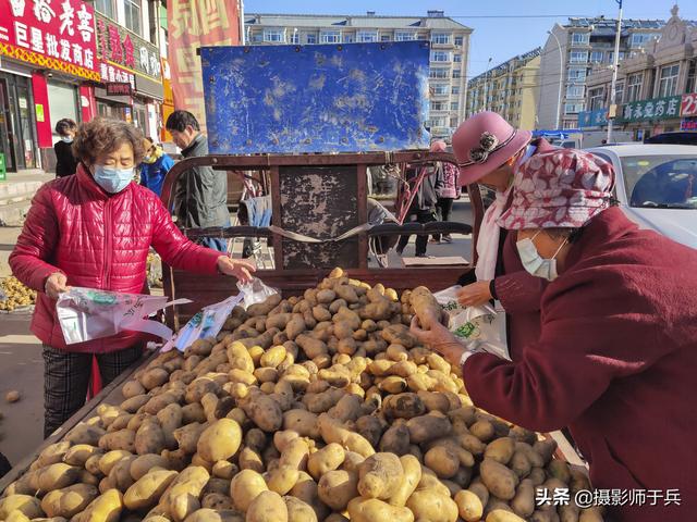 卜留克是什么菜，东北的卜留克学名叫什么（姜不辣等蔬菜名字很魔性）