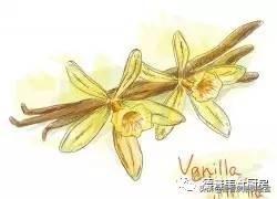 一盎司是多少毫升，一盎司是多少毫升黄金（各种换算单位一头雾水）