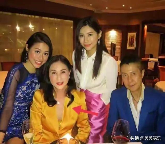 盆景猫（盆景猫百科，港姐又在垃圾堆里捡男人（招财猫盆景怎么养）