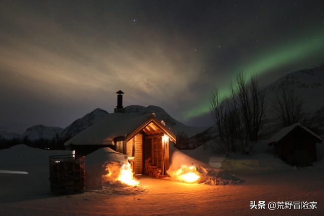 为什么北极的鳕鱼冻不死，鳕鱼只有冷冻的吗（大西洋鳕鱼与普通鳕鱼根本不是一回事）