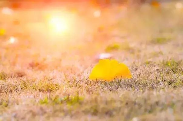 青春永驻的下一句，诸事顺利的下一句（青年节：忆五四一百年华）