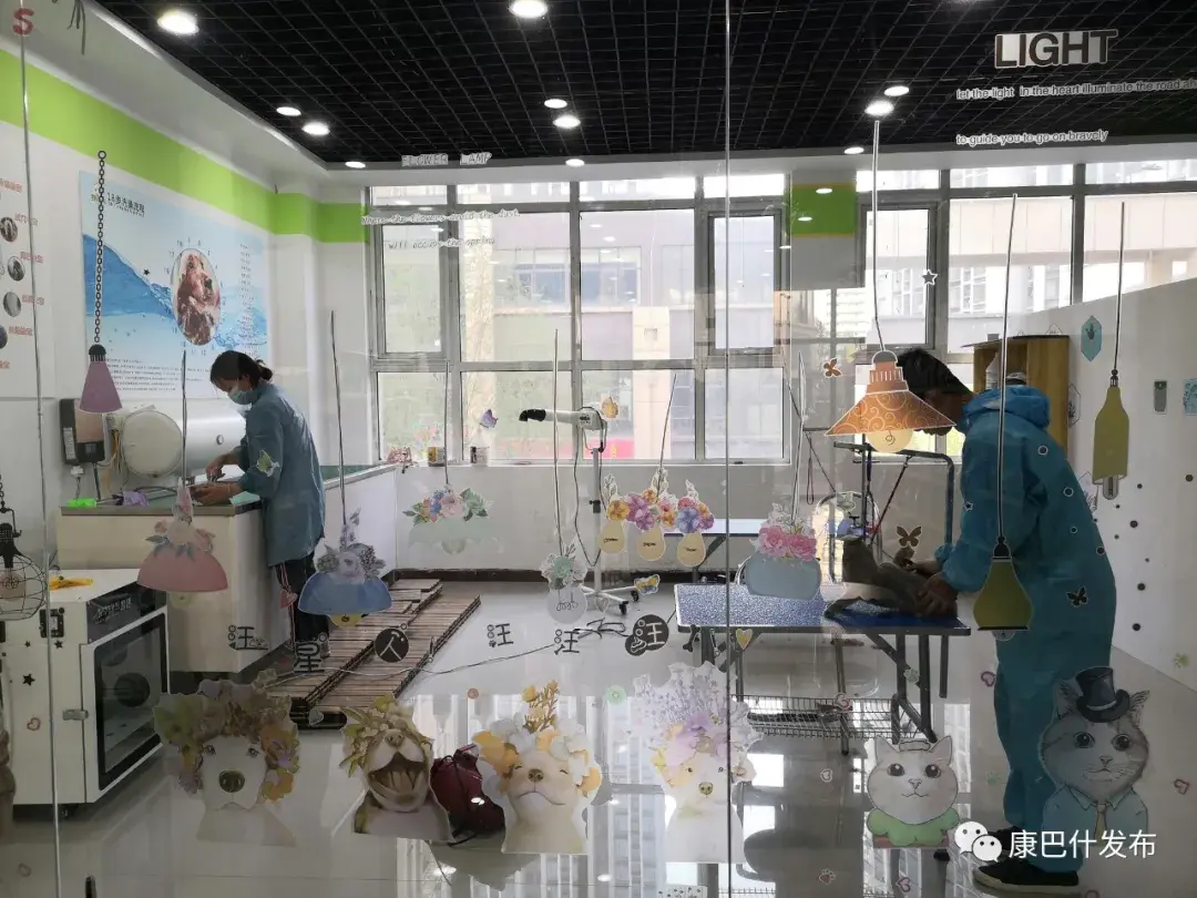 圣宠宠物店(附近哪有宠物市场)