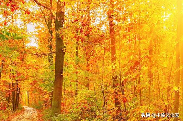 秋分的意思，秋色宜人的意思（俗话说“白露秋分夜）