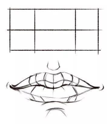 嘴巴的笔画顺序，嘴巴的笔顺笔画顺序（适合初学者学习的嘴巴画法）