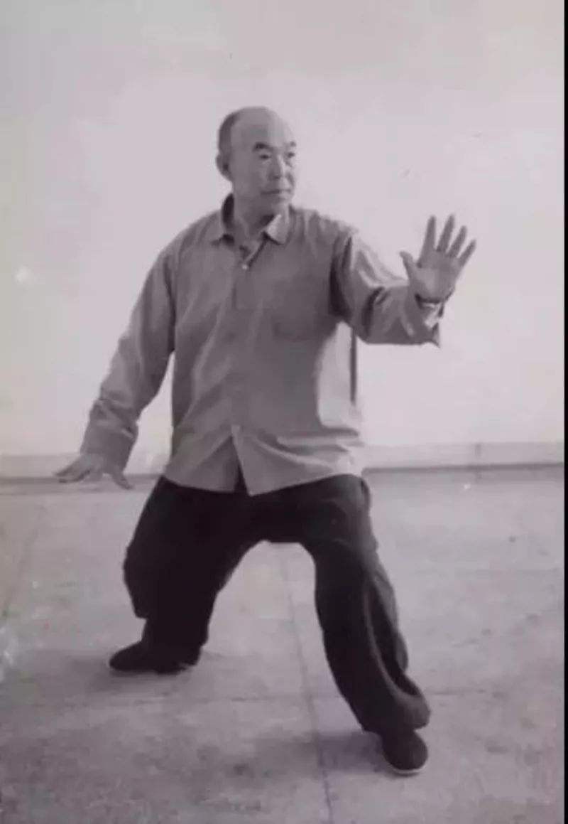 太极宗师李经梧自传，太极宗师李经梧自传下载（李经梧太极人生）