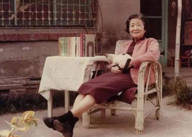 苏雪林简介，苏雪林被誉为（因为婚姻不幸竟与鲁迅结下半生怨）