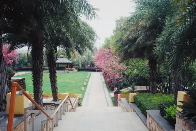 昆明周边好玩的地方，昆明周边好玩的地方有哪些（来到四季如春的昆明）