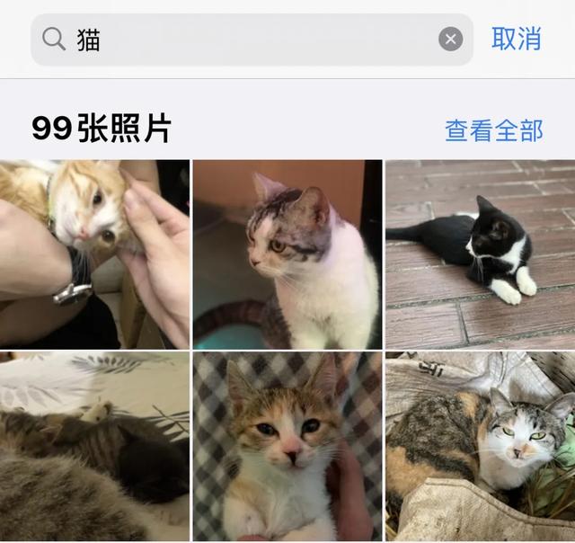 好听的相册名称，用了5年iPhone