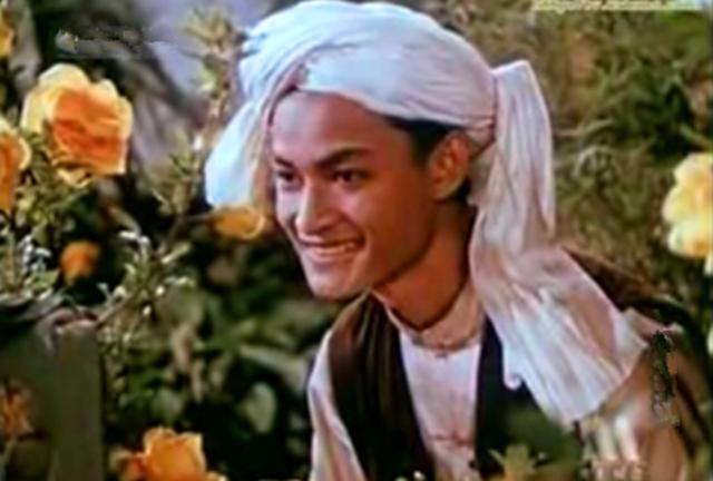 五朵金花演员表，五朵金花演员表杨丽坤（你会想起杨丽坤的阿鹏哥）