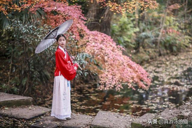 开头10岁的楚风小说，主角是楚风楚芸小说叫什么名字（男主角姓楚的6本网络小说）