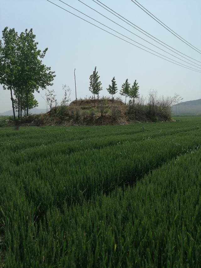 尧陵什么意思及解释，尧陵拼音怎么读（锡以明哲——汉故光禄勋东平无盐刘曜墓前的瓦当）