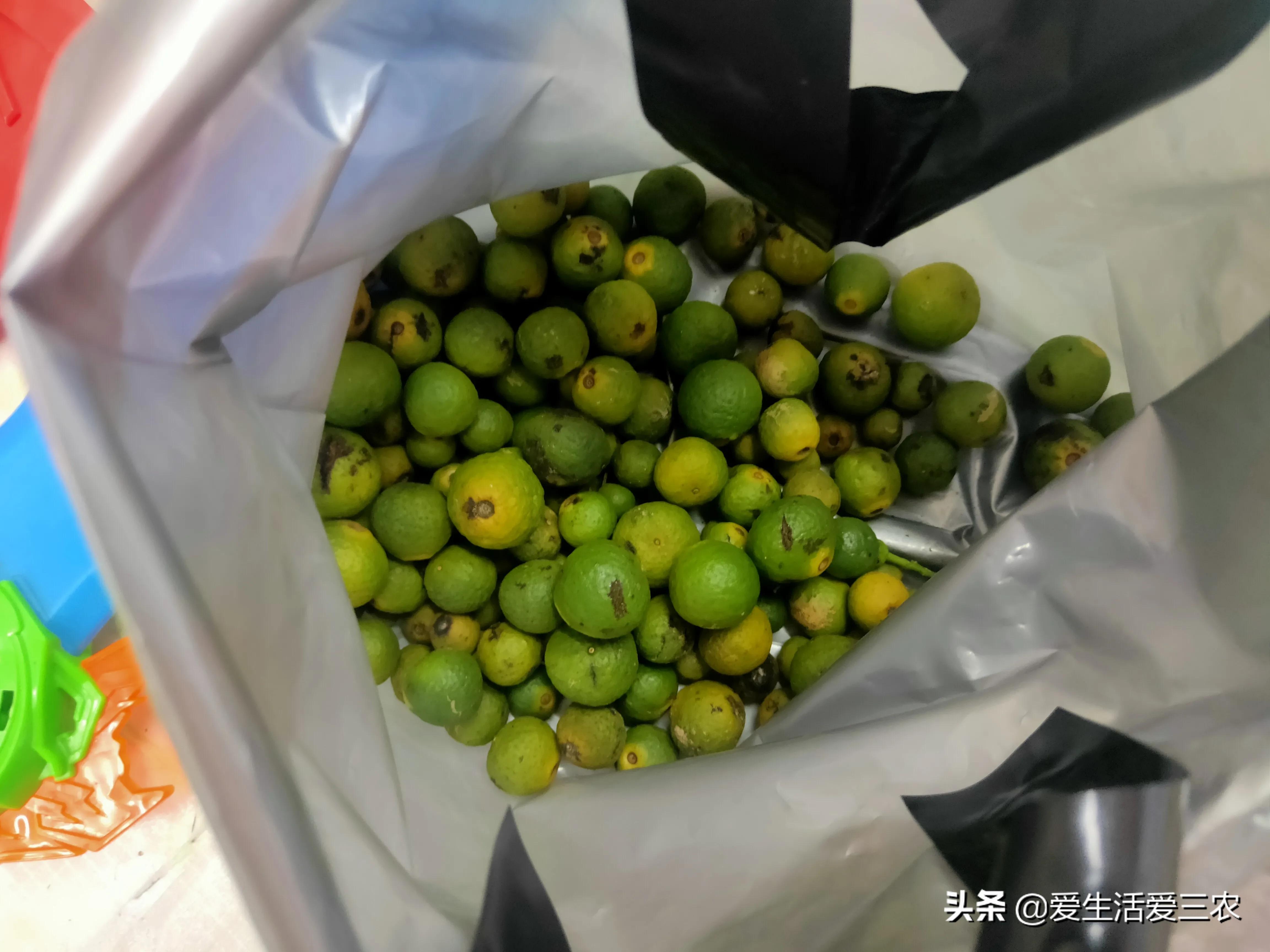 赚钱的项目(正规赚钱游戏app)