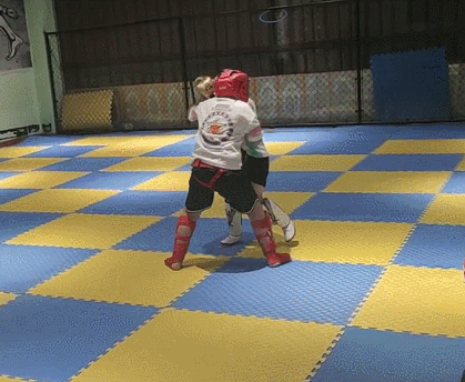 散打和自由搏击哪个更实用，自由搏击和散打哪个杀伤力大（搏击、武术、散打、跆拳道）