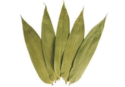 包粽子的叶子是什么植物的叶子，粽子叶是什么植物的叶子（端午百科：年年吃粽子）