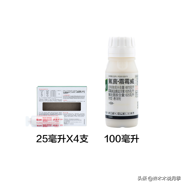月季常见病虫害及防治方法，月季的病虫害防治（十二种月季常见病害防治教程）