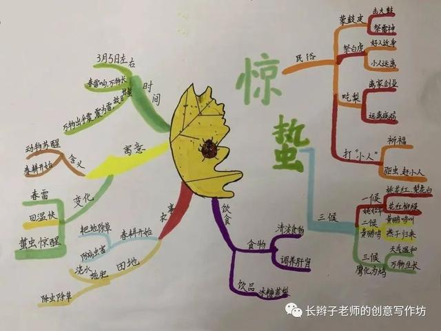 立春思维导图图片，立春思维导图图片高清（初中语文必背必考）