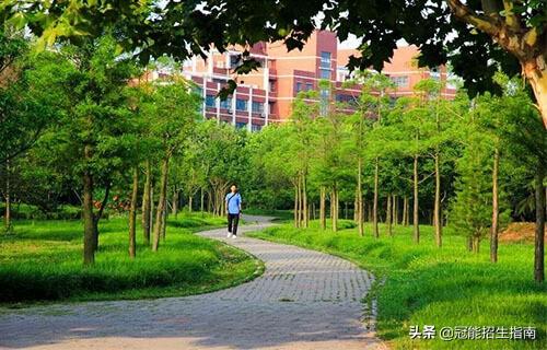 成都护理学校哪里好（护理毕业生能做什么）