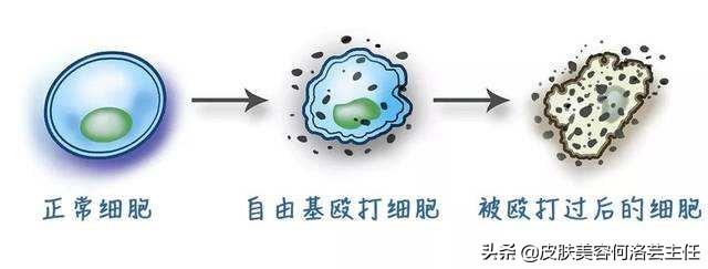 什么是抗氧化，什么是抗氧化 为什么要抗氧化（抗氧化到底是什么）