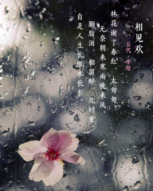 此意悠悠网名，此意悠悠微信昵称（唐宋词120首精选）