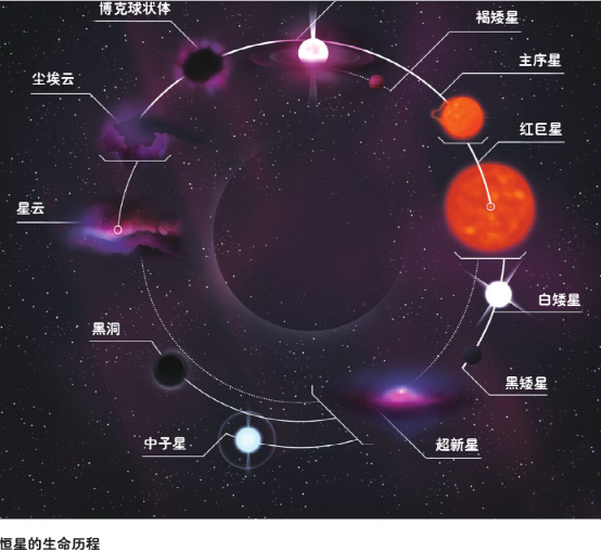 白矮星是什么，太阳的未来将成为白矮星