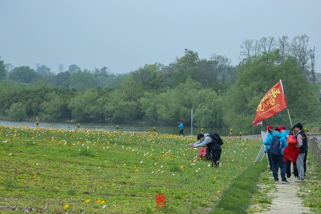 蜀山的具体位置在哪啊，蜀山位于哪里（徜徉在春色染透的田园风光里）