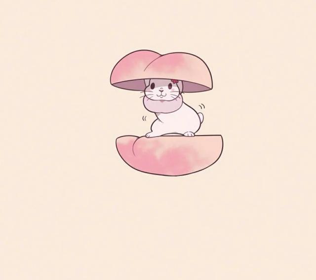 小兔子卡通图片，可爱小兔子头像/可可爱爱兔子鸭。（微信头像，萌萌的兔子头像）