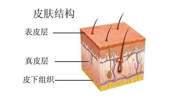 消除皱纹的10个最好最简单方法，消除皱纹的10个最简单方法（消除的最简单的方法是什么）