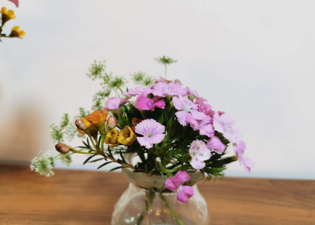 鲜花的保鲜期是多久，鲜花的保鲜期是多久啊（花期延长2倍）