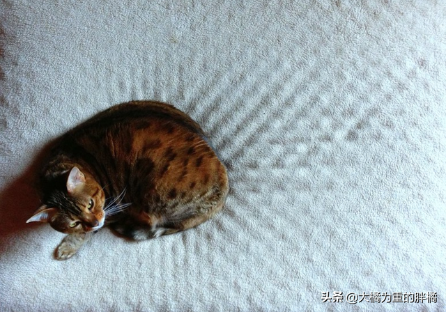 得了艾滋一辈子完了吗，感染艾滋病的一生就完了（多注意这些小细节）