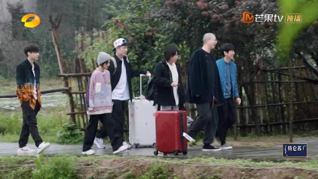 向往的生活彩灯是什么品种，向往的生活里的彩灯是什么动物（那英成《向往的生活》最“炸场”嘉宾）