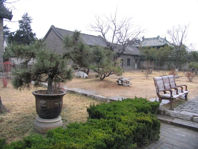 孔府的介绍，孔府的介绍作文（探访曲阜孔庙、孔府和孔林）