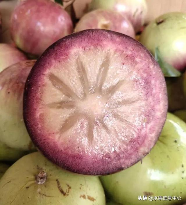 醋柳果的功效与作用，醋柳果的功效与作用及禁忌（国内有哪些小众特色水果）