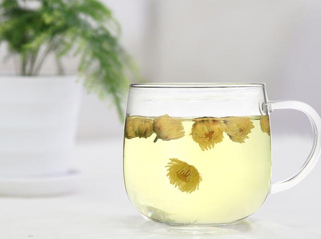 白菊花茶的功效与作用，雪菊花泡水喝的功效与作用（杭白菊的那些好处）