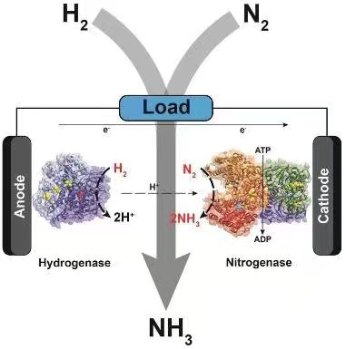 加聚反应的条件，加聚反应条件（2019年高考全国卷Ⅰ理综化学详解与评析——选择题）
