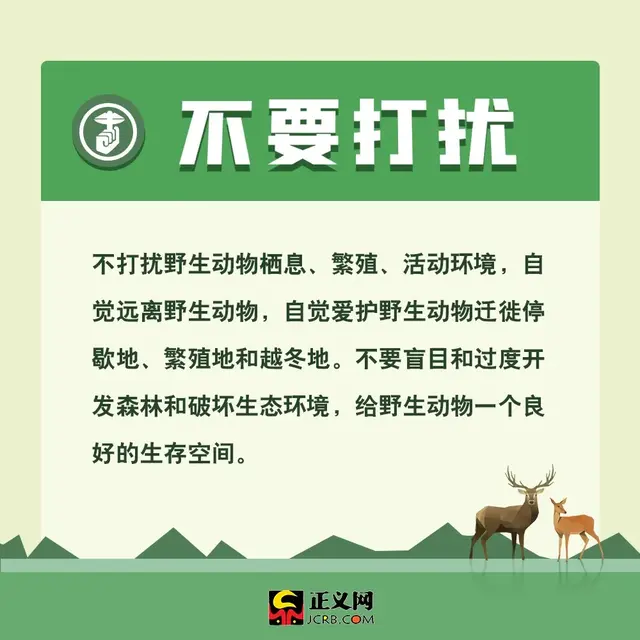 保护动物的方法，保护野生动物，你应该这样做
