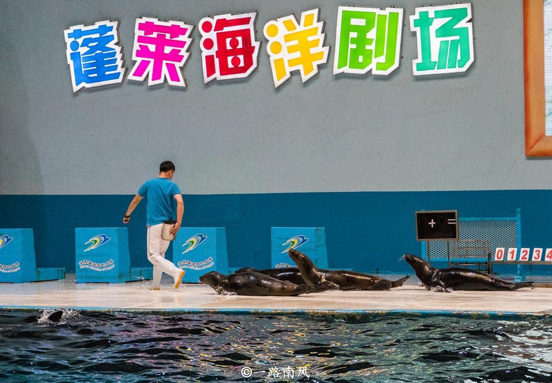 蓬莱好玩的地方(蓬莱旅游)