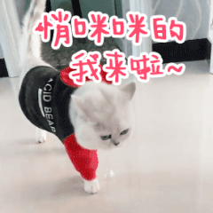 目前苹果的新版闹钟功能，原来iPhone自带的闹钟这么好用