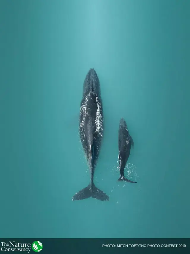 怦然心动美图，怦然心动最新图片（美图 ， 这一瞬间的怦然心动）