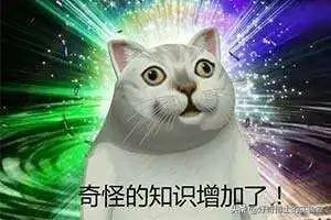 如何舌吻，舌头接触面积得多大