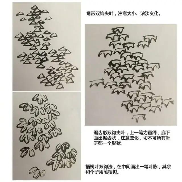 树叶的画法，树叶的画法简单（学会画国画叶子很简单）
