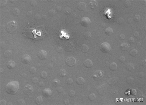相容性试验，防火涂料与油漆的相容性试验（这些是药用玻璃相容性检测的重点）