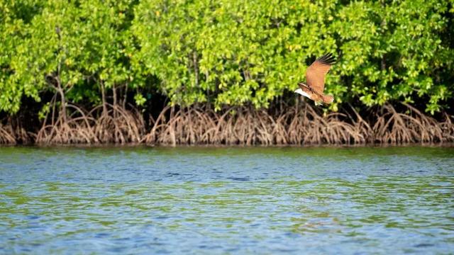 仙本那是哪个国家，仙本那 民族（这里有份攻略请收藏）