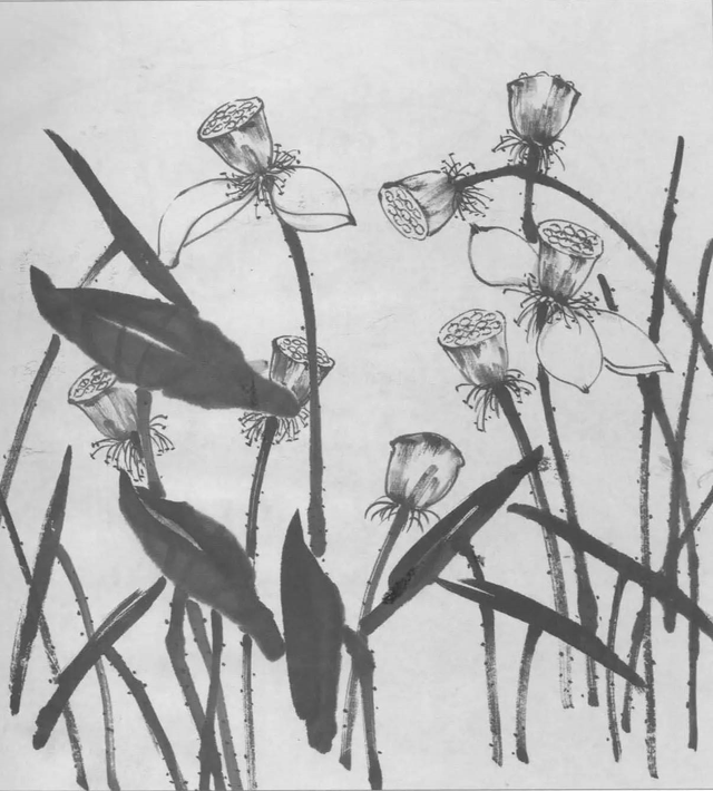 水墨画初学者入门教程，水墨画入门教程（图文教程：画水墨荷花）