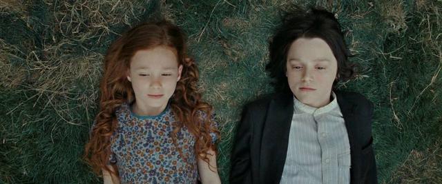 斯内普教授为什么讨厌哈利波特，《哈利波特》中的这一人