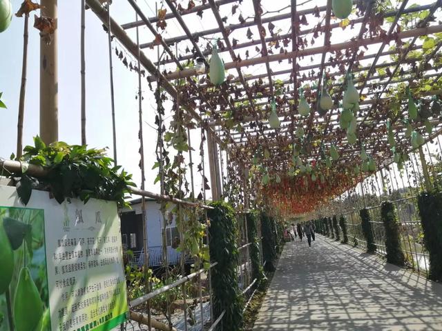 番禺有什么好玩的地方，番禺有什么好玩的（广州番禺旅游攻略<C篇>）