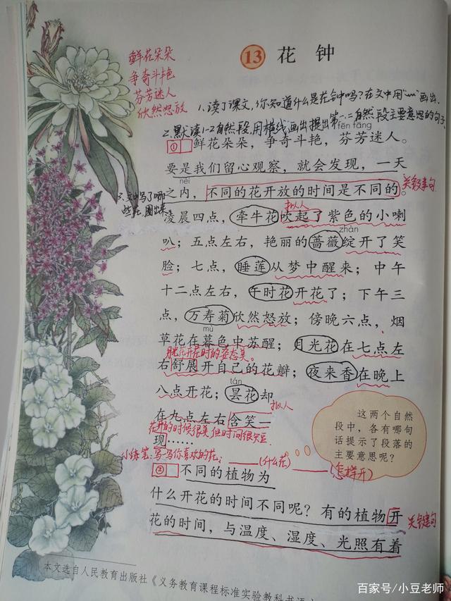 什么是科普说明文，科普说明文还有什么说明文（三年级语文下册第13课《花钟》留心观察获得的各种发现）