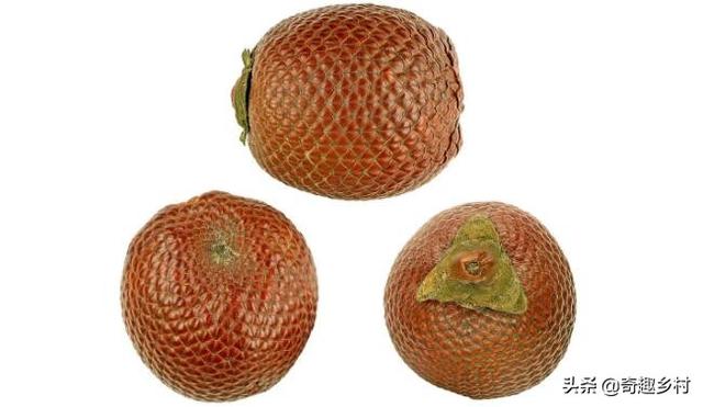不常见的水果，不常见的水果名字大全（国内外41种不常见的奇葩水果你都知道哪些）