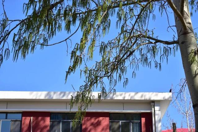 天津农学院是几本，天津农业学院是几本的（天津市普通高等院校）